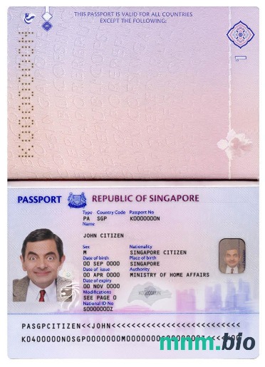 Przykład Singapore new pass (2017+) w formacie PSD